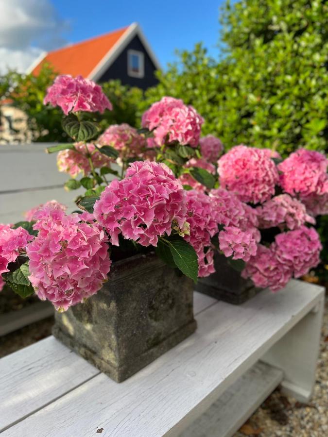 Maison Blakenburg Wissenkerke المظهر الخارجي الصورة